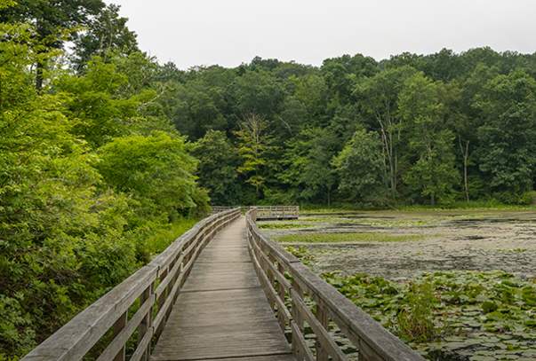 Meetings that Give Back