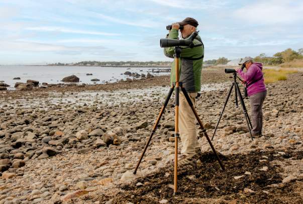 Edith G Read Wildlife Sanctuary