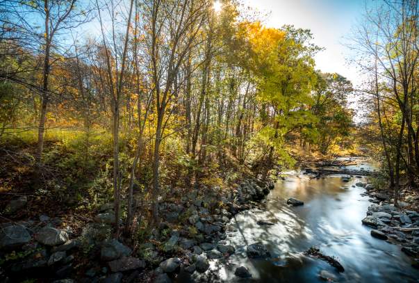 North Salem Stream