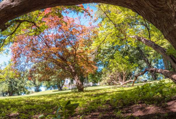 Lyndhurst grounds Spring