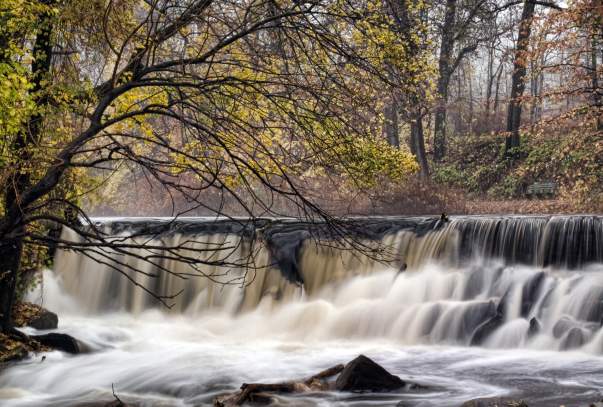 shutterstock_21439555