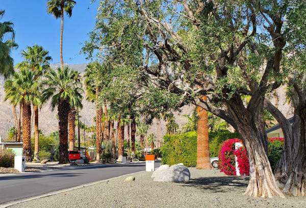 Explore Historic Deepwell Ranch Neighborhood: Self-Guided Bike Tour 🚴‍♂️