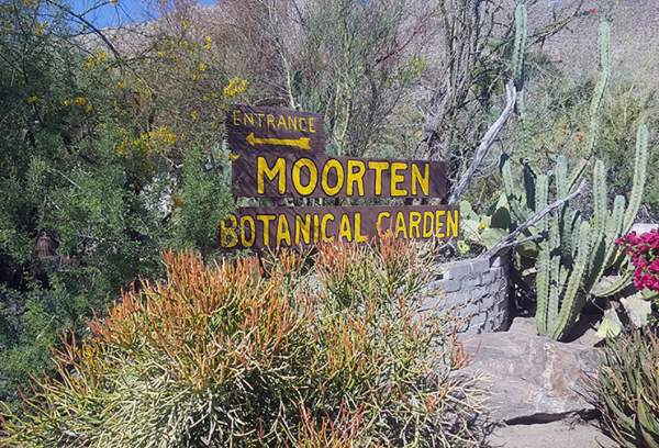 Moorton Botanical Garden: A Living Desert Legacy