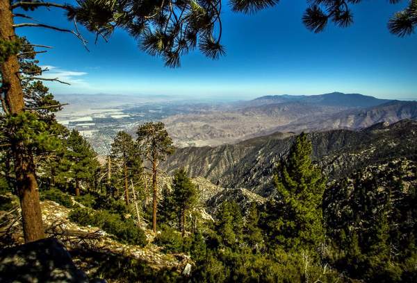Guide to Hiking the Mt. San Jacinto Peak Trail