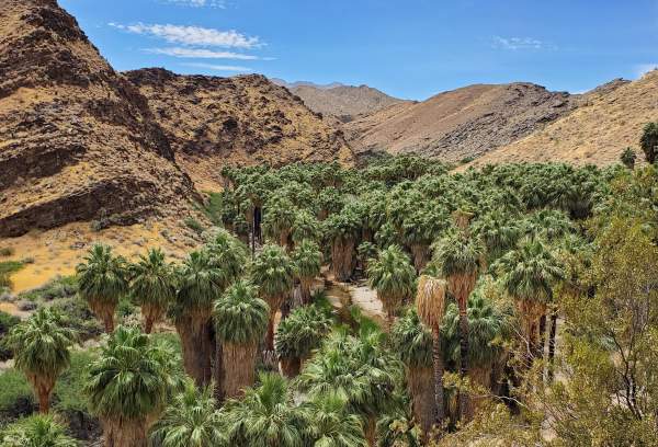 Explore the 150‑year history of the Agua Caliente Band of Cahuilla Indian Reservation