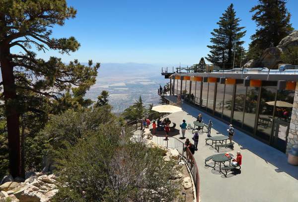 Chill Out in Palm Springs: Summer Guide to Beating the Heat!