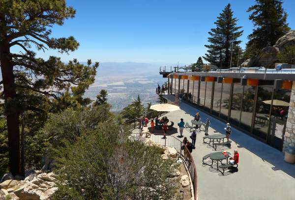 Palm Springs Winter Travel Guide: Best Things to Do, Stay, Dine & Shop