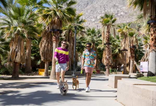 Palm Springs 3-Day LGBTQ+ Getaway