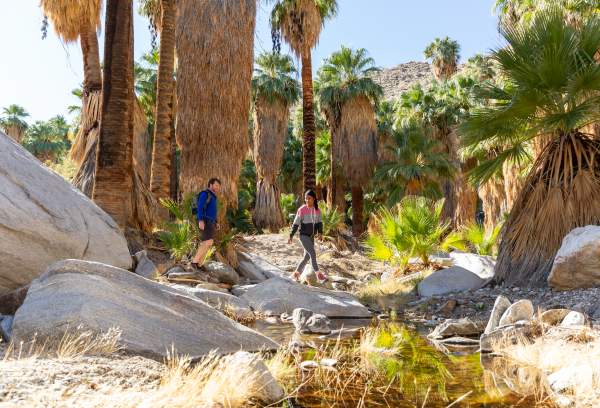 Your Guide to Visiting Palm Springs in the Fall