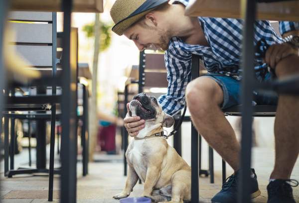 Paws & Plates: A Dog-Friendly Restaurant Guide