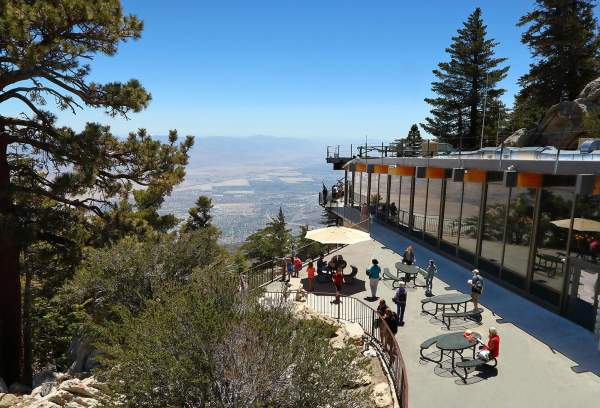 Escape to Palm Springs on a Day Trip Adventure