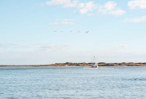 Your Guide to Labor Day Weekend in Port Aransas