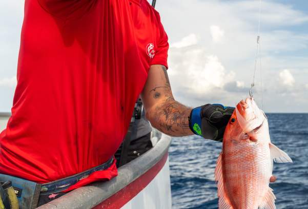 Your Guide to Snapper Season in Port Aransas
