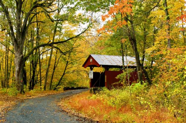 Red covered bridge on a leaf-covered road surrounded by autumn trees.