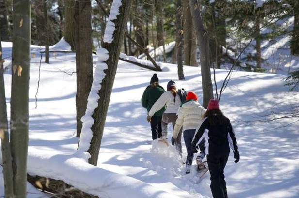 Group of people snowshoeing through snowy forest.