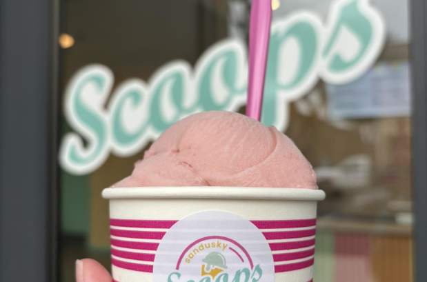 Sandusky Scoops