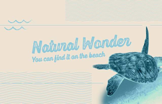 Natural Wonder Banner