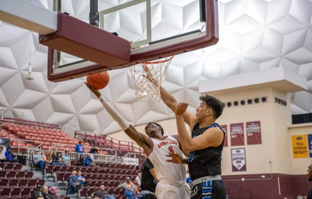 Basketball in Centenary Gold Dome