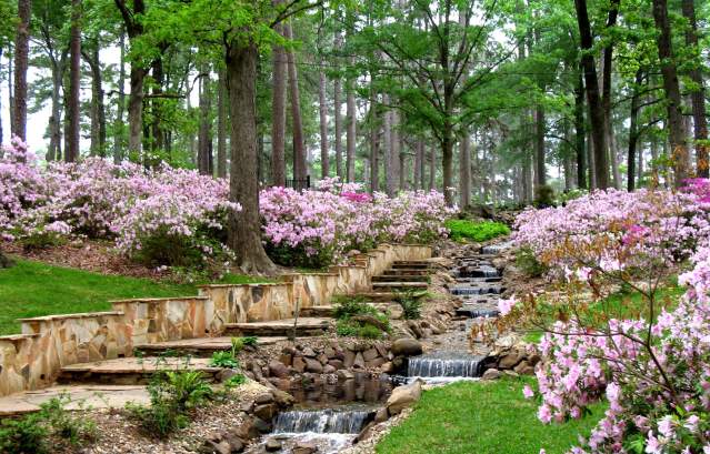 5 Free Things to Do in Shreveport-Bossier