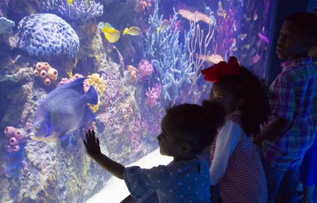 Ultimate Guide to Things to Do in Shreveport-Bossier, LA