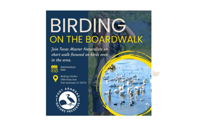 Birding on the Boardwalk