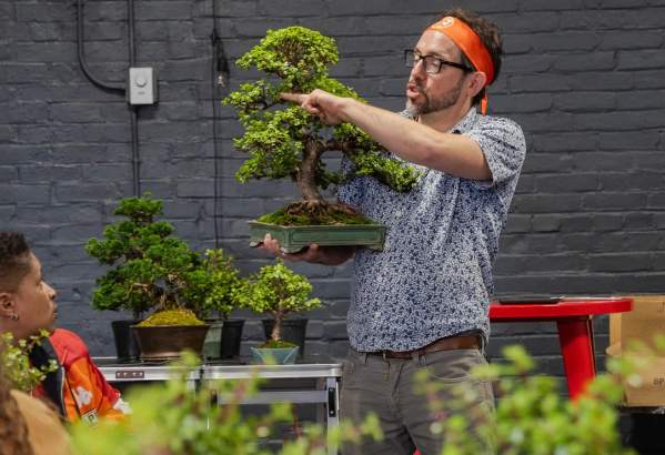 Bonsai Workshop at Saint August Maison