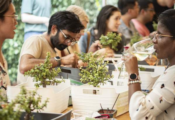 Bonsai Workshop at Chafunkta Brewing Company