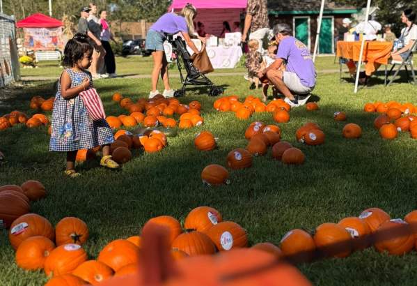 Folsom Fall Festival & Chili Cook-off