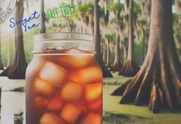 Sweet Tea and Free Trees