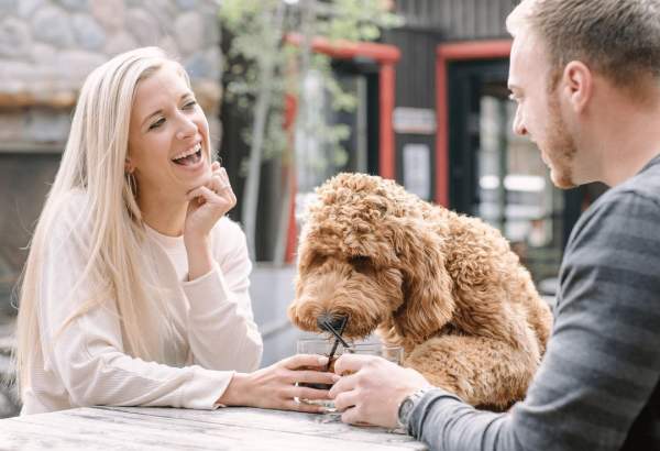 8 Must-Visit Outdoor Patios in Wauwatosa