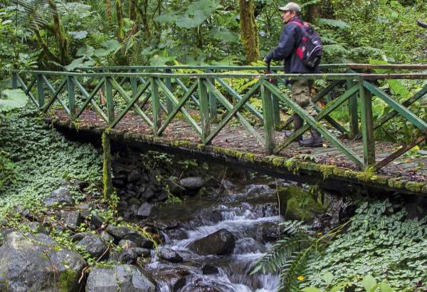 Sendero los Quetzales
