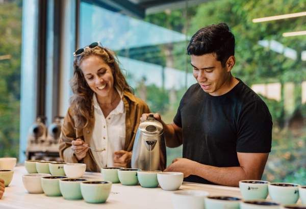 Coffee tour experience at Lamastus, Boquete, Chiriqui province, Panamá