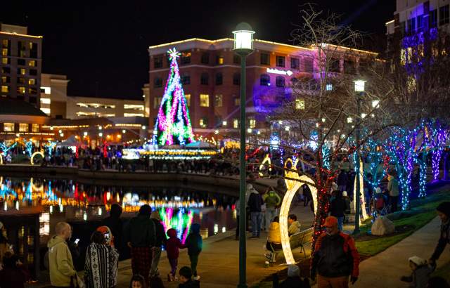 Tree Lighting