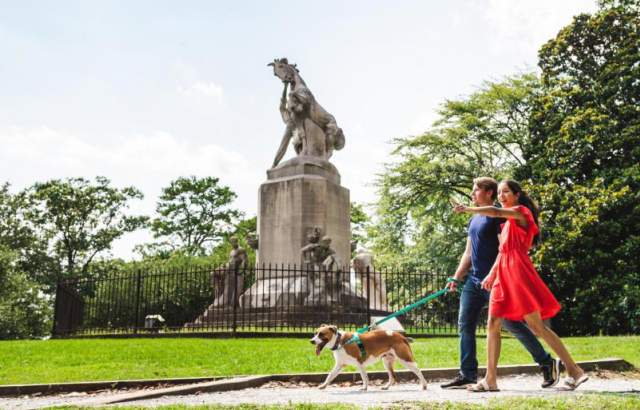 Couple walking a dog