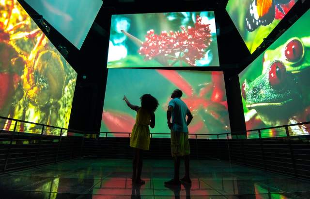 People watching screens at Biomuseo on the Causeway