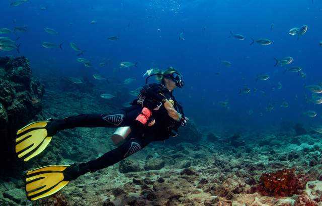 Diving near corals and colorful schools of fish in Islas de Afuera, Coiba
