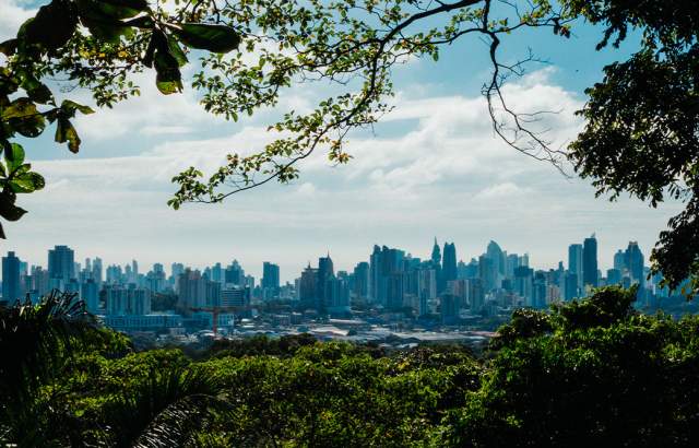 The image shows a view of a city skyline through a frame of lush green trees. The city appears to be in the distance, with tall buildings visible against a blue sky. The foreground is dominated by dense foliage, creating a dark and mysterious contrast with the bright city scene.