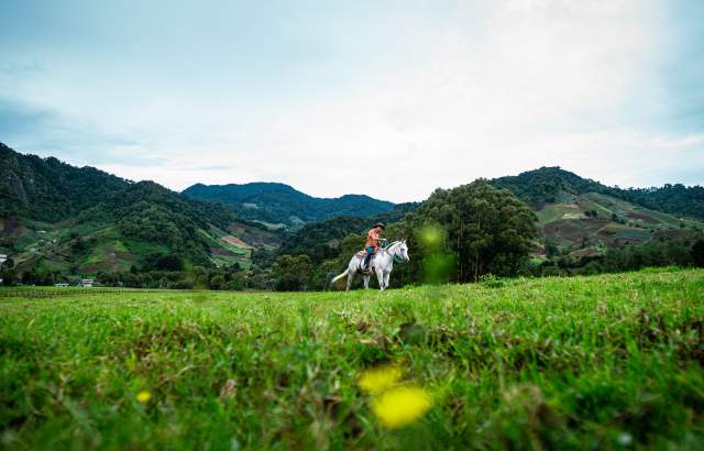 A person on horseback riding through a beautiful green field with rolling hills in the background. The sky is cloudy, adding to the peaceful atmosphere of the scene.