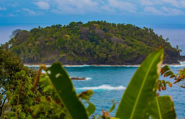 small island covered in lush greenery, surrounded by clear blue water with gentle waves. The foreground shows lush vegetation framing the view.