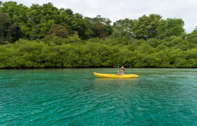Woman kayaking surrounded by mangroves in calm waters in Portobelo, Panama