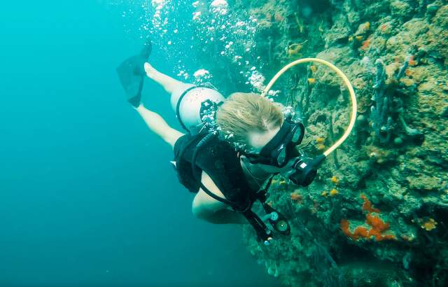 Diving near huge coral reef on a blue waters