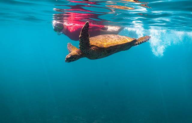 Coiba National Park, Gulf of Chiriquí, Panamá