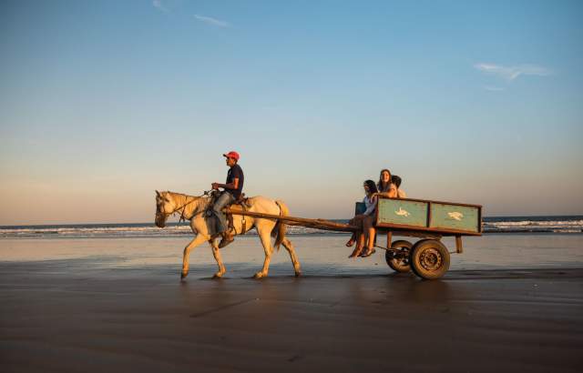 A gang of buddies riding in a horse-drawn carriage.