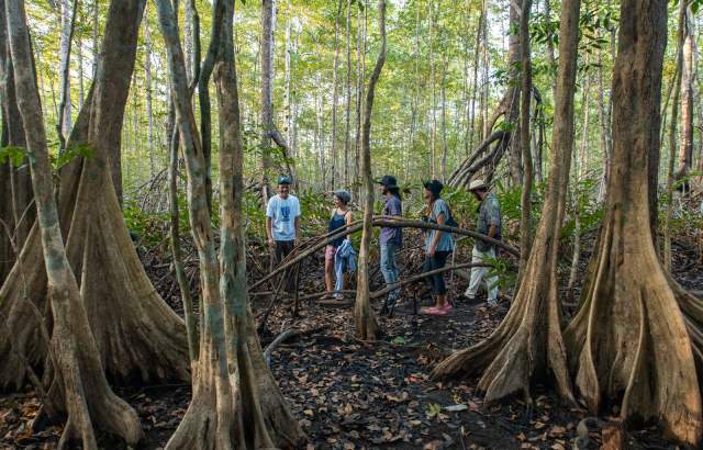 Outdoor enthusiasts united by their passion for exploring the forest's breathtaking beauty.