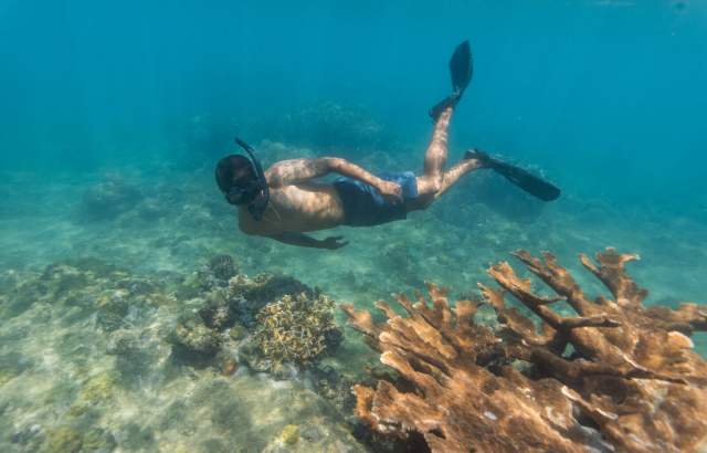 A man swim near reef corals with snorkel mask