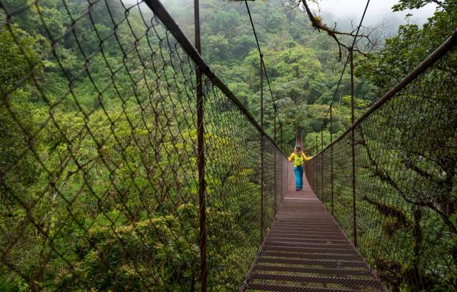 Woman Walking in beautiful Hanging bridge (facing backwards) lots of background vegetation
