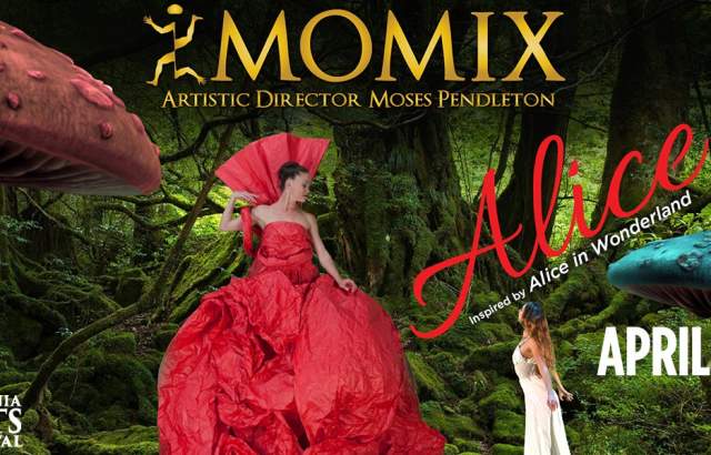 MOMIX's ALICE