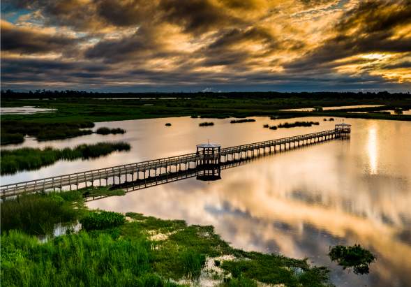 Beaumont on a Budget: Free & Low-Cost Family Fun