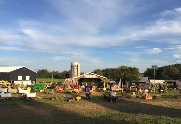 Crawford Farms Pumpkin Patch