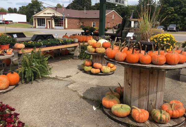 Hinton's Orchard and Farm Market in Etown